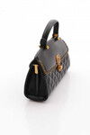 Black Womens Handbag and Shoulder Bag 25YG343